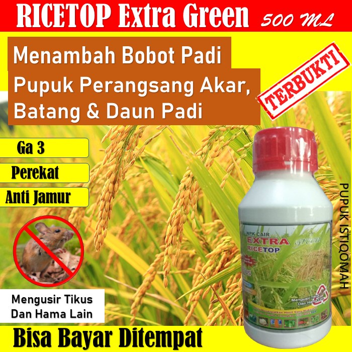 Promo Ricetop Extra Green pupuk Pelebat/Menambah Bobot Padi - Pupuk Ricetop Untuk Pelebat Padi Mengh