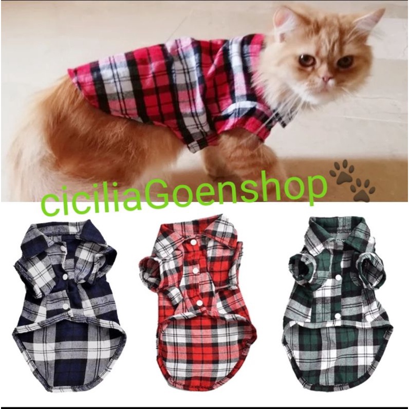 Baju kemeja kotak anjing kucing kelinci formil