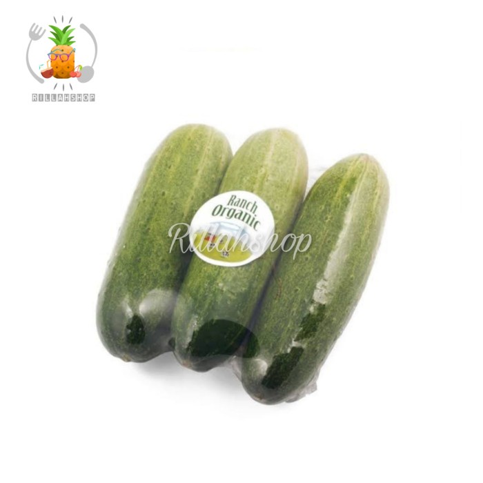 

Timun Organik Cucumber Organic (500g)