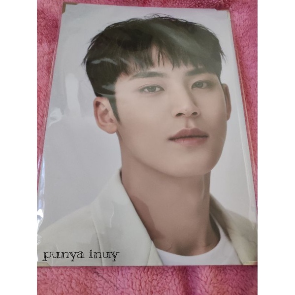 PHOTO PREMIUM MINGYU CARATLAND 2021