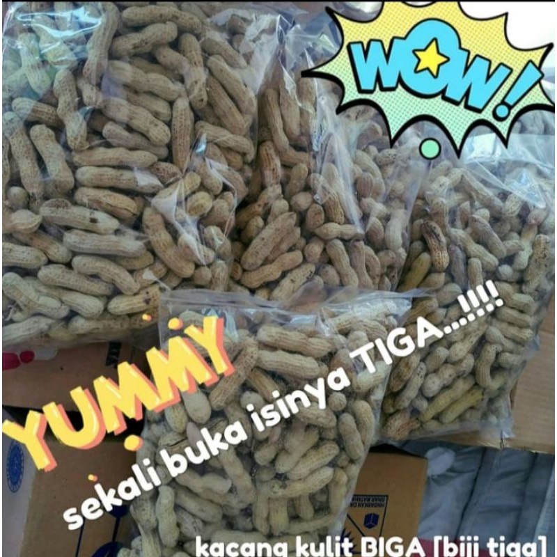 

Kacang Kulit BIGA - Biji Tiga (Promo)