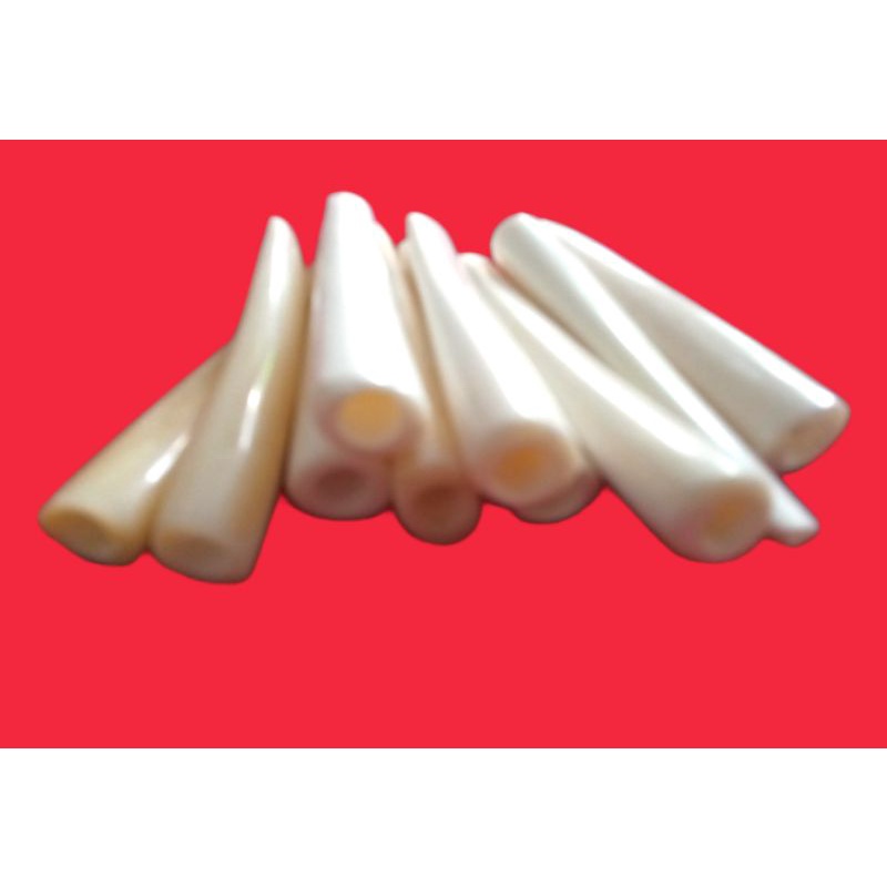 PIPA ONCE TULANG SAPI