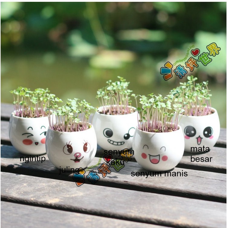 lovelygubuk tanaman pot keramik lucu  emoticon Shopee 