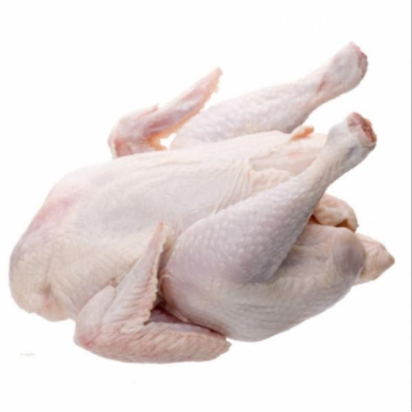 

Ayam Broiler (900-1000 gram)