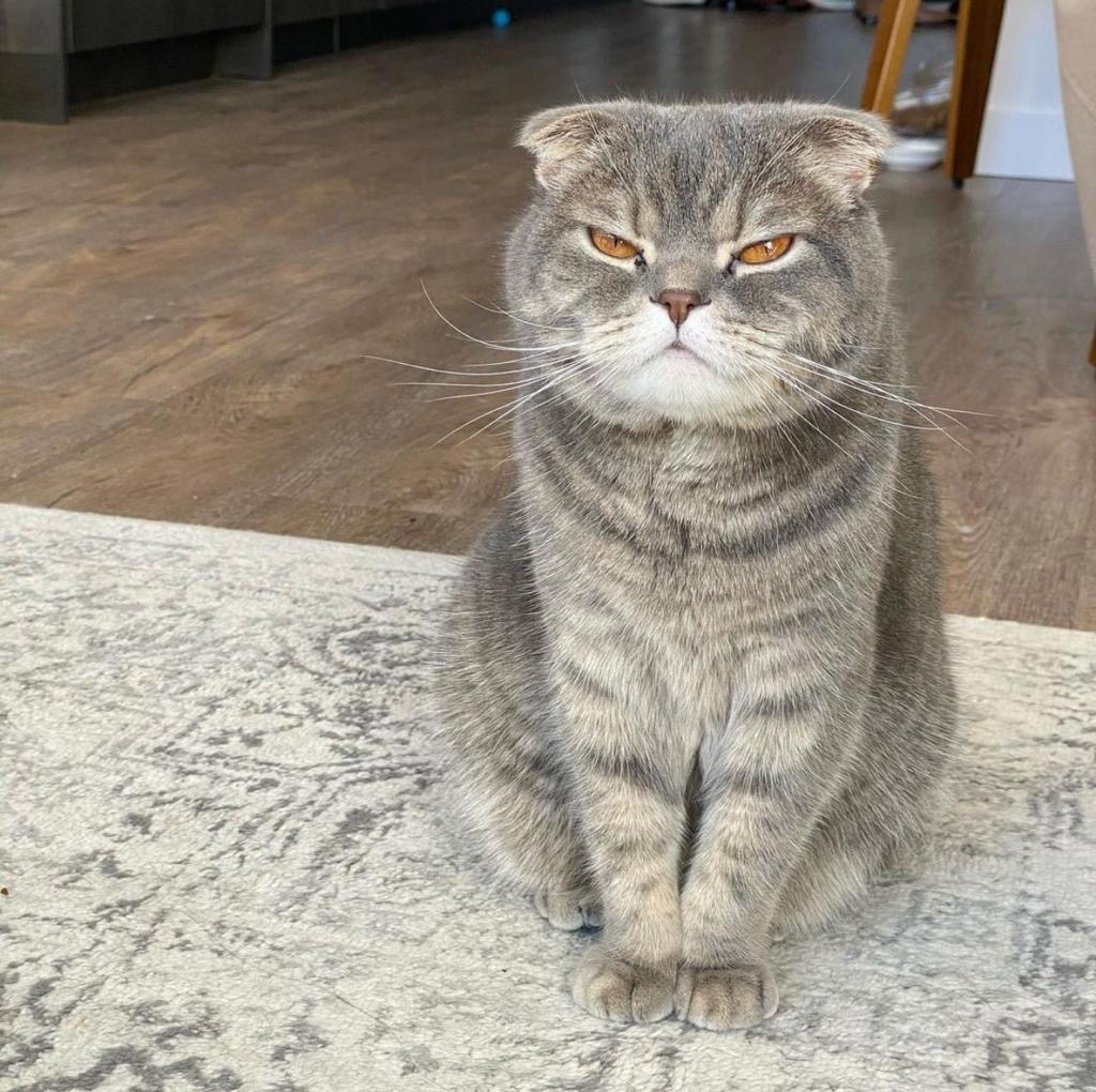 Tempat Sampah Portable / Tempat Sampah Gantung Serbaguna