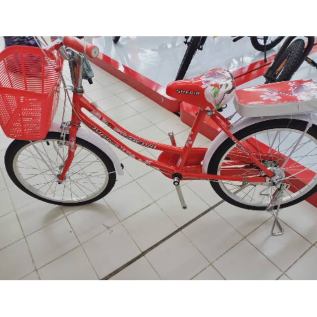 Sepeda keranjang/citybike