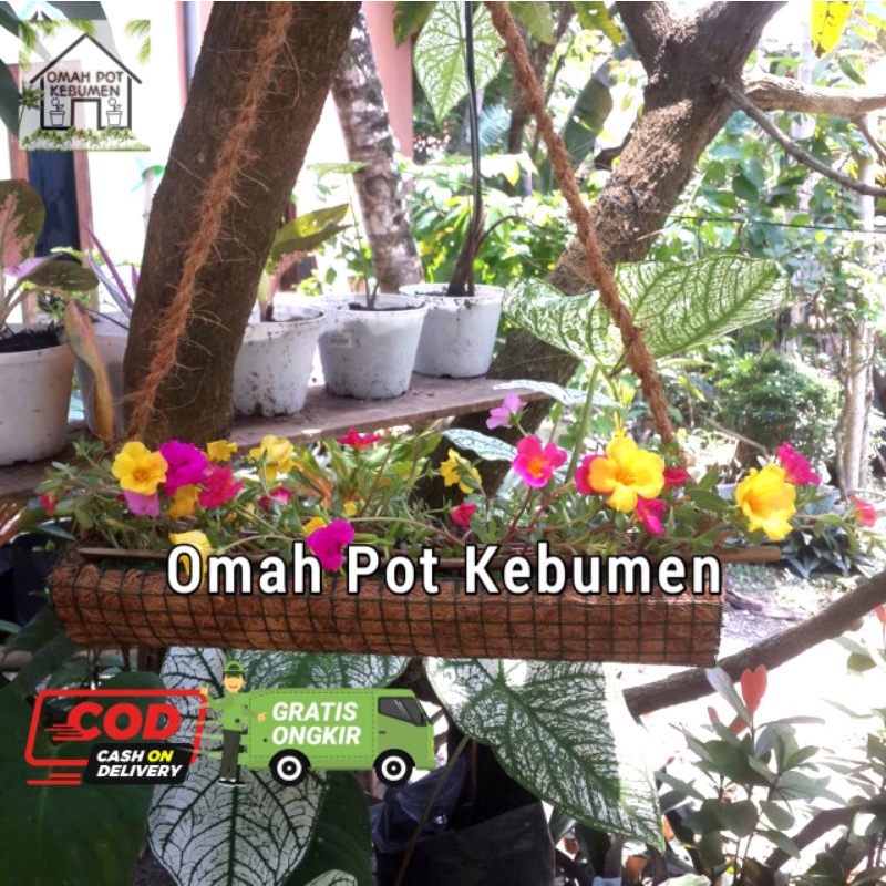 pot bunga krokot serabut sabut kelapa panjang gantung terbaru
