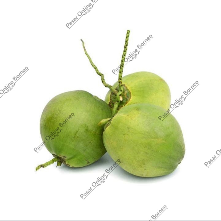 

Buah Segar Kelapa Muda 1 Buah