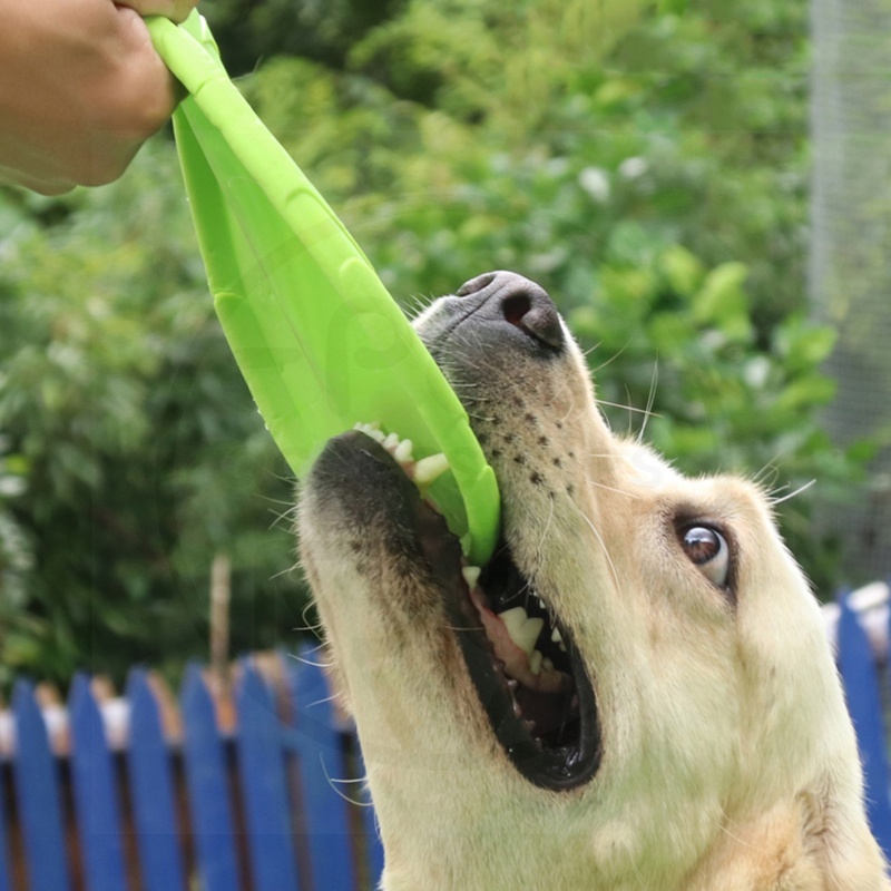 maninan hewan peliharaan anjing frisbee untuk interaktif dan melatih dan tahan lama pelengkapan hewan peliharaan