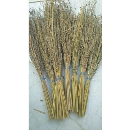 sapu padi jerami ketan hitam jerami merang ketan hitam