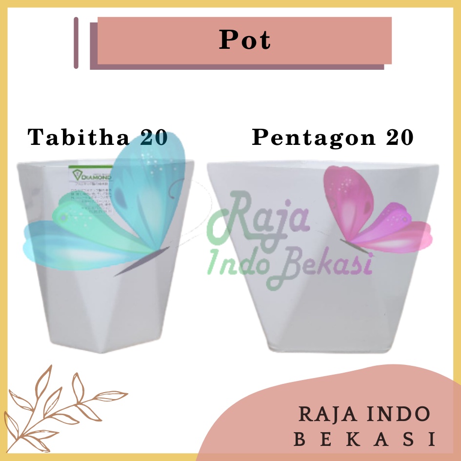 Rajaindobekasi Pot Pentagon 20 Putih Pot Tabitha Diamond 20 25 Putih Pot Bunga Tanaman Tinggi Pot Diamond Tabitha Putih Pink 20 25 30 35 Grosir