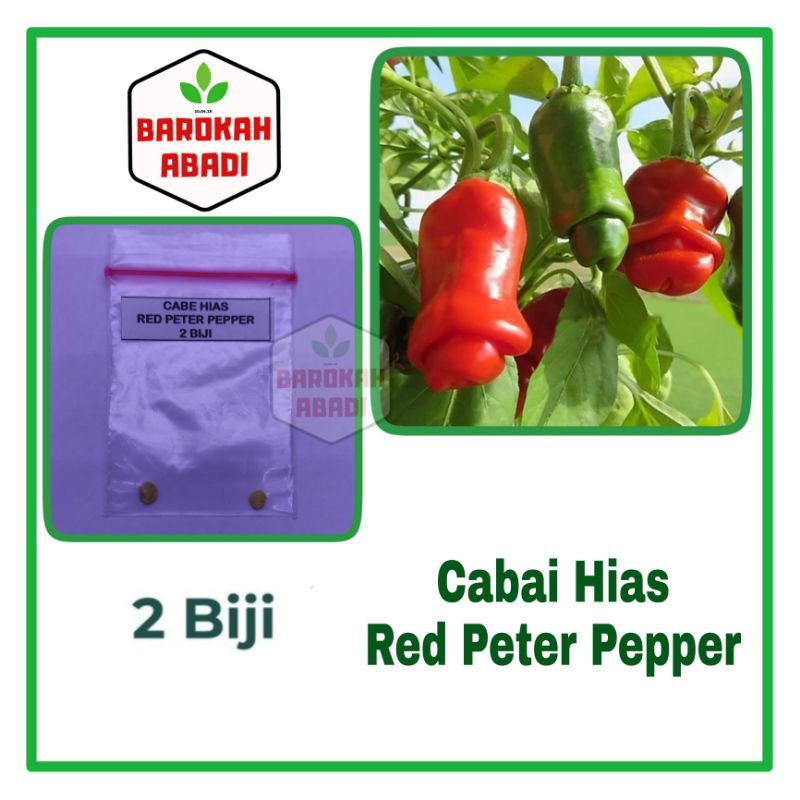 Benih / Bibit / Biji - Cabe  Merah Peter Pepper - IMPORT