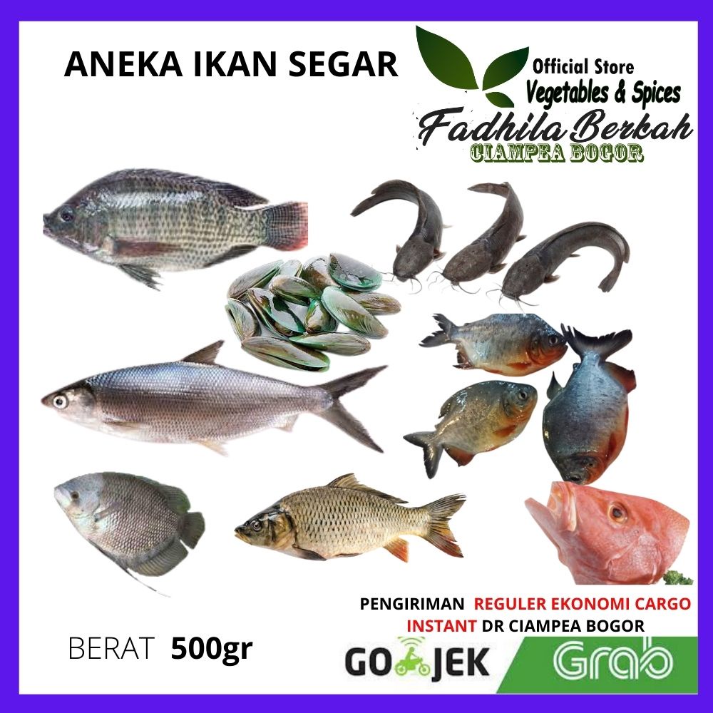 

Kembung Banjar Layang Gepeng ikan salem Cumi |Ikan Patin Udang Besar sedang |Ikan Mujair Bawal Kerang Ijo Dara ikan Mas Gurame Kepala Kakap Ekor Kuning Tongkol Gabus Sarden Bandeng Selar Ikan Segar fresh beku 500gr sayur Sayuran sayurmayur Bogor |