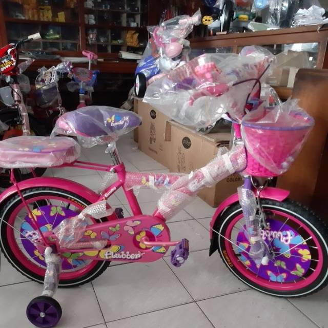 Sepeda Mini 16" Family Flubber