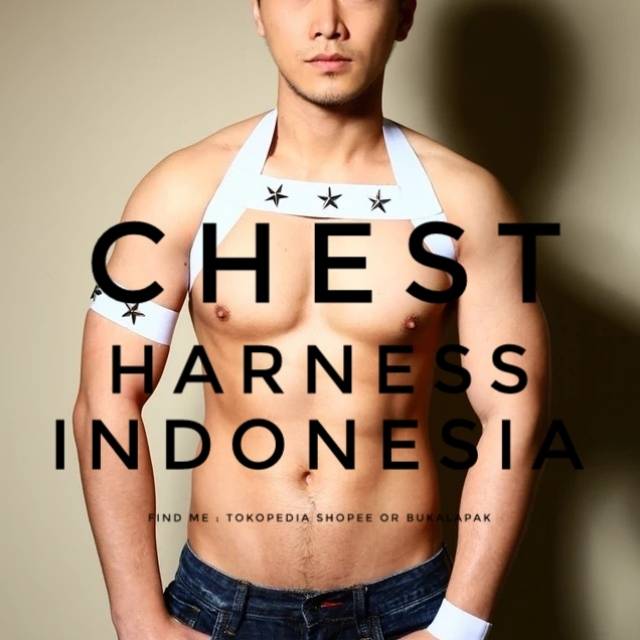 chestharnessindonesia