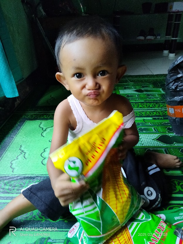 Bibit Jagung. Benih Jagung Hibrida F1 Pertiwi 3 (1 Kg)