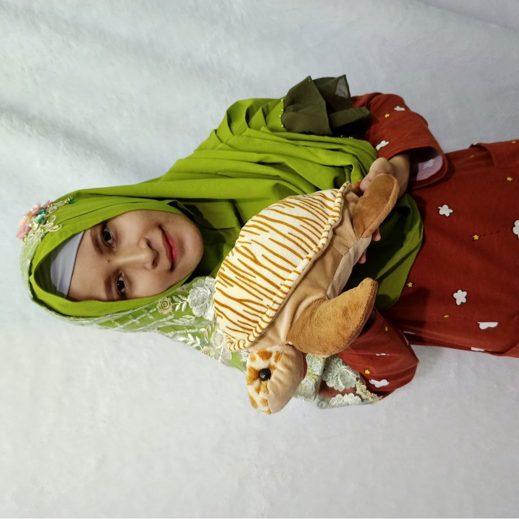 Boneka Kura Kura M Murah