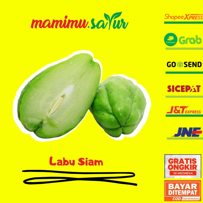 

LABU SIAM SAYUR SEGAR ASLI MURAH SAYUR KILOAN LABU SIAM JUMBO LABU SIAM BESAR