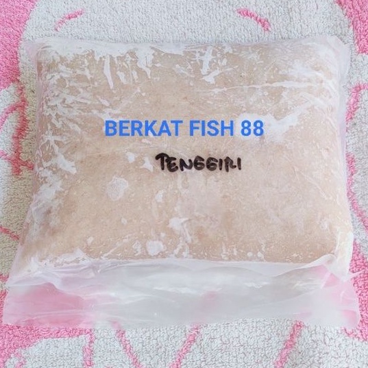 

Ikan Tenggiri grade 3