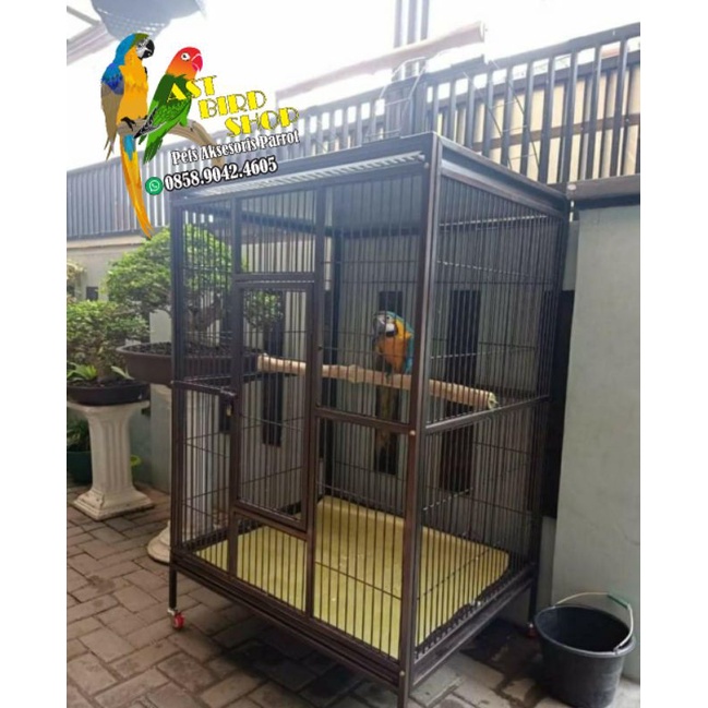 Kandang macaw