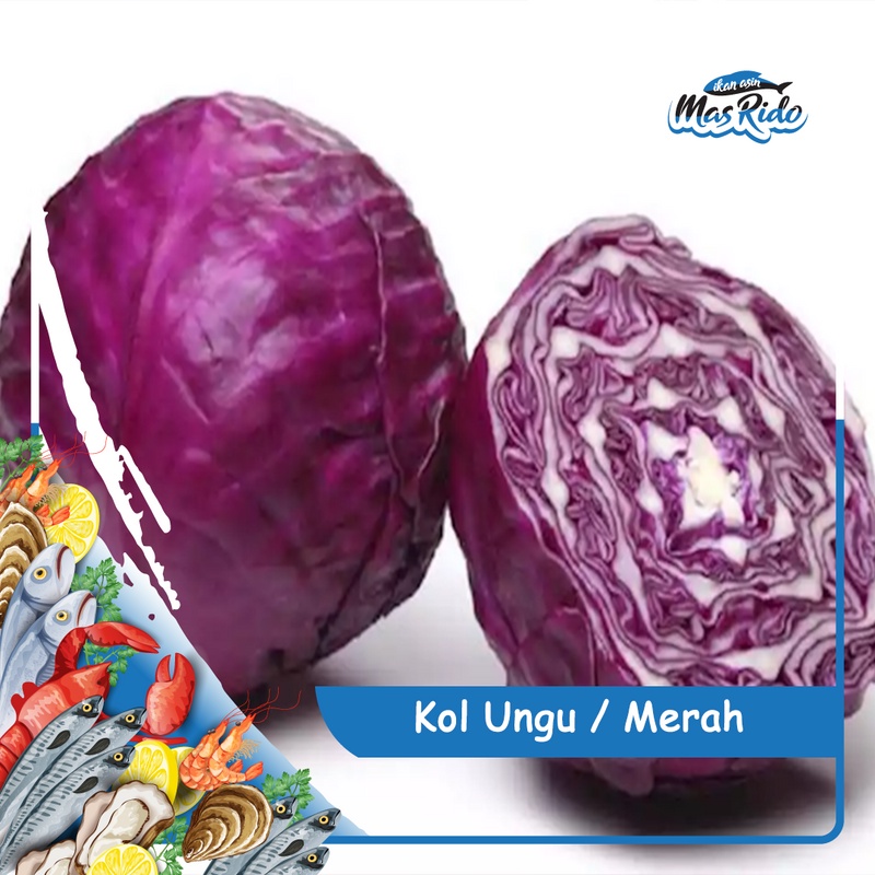 

Kol Ungu Segar Kubis Engkol Fresh Sayur Organik Kwalitas Super