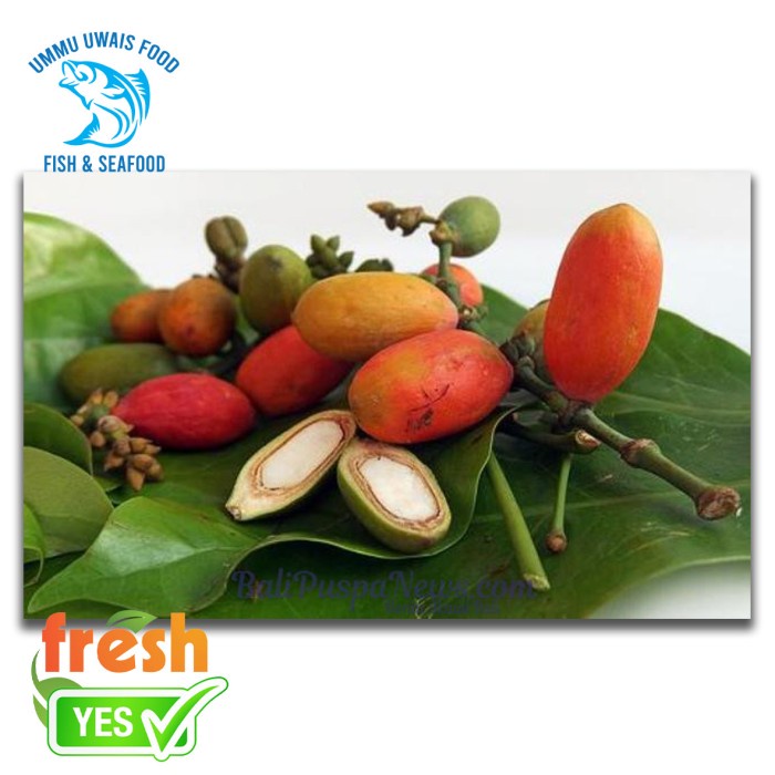 

Melinjo Segar - 50 Gram