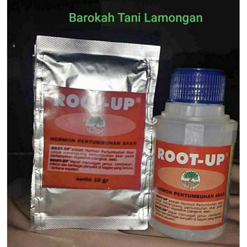 ROOT UP