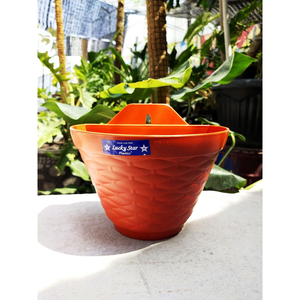 Pot gantung tanaman dahlia ( L : 19,5 cm )