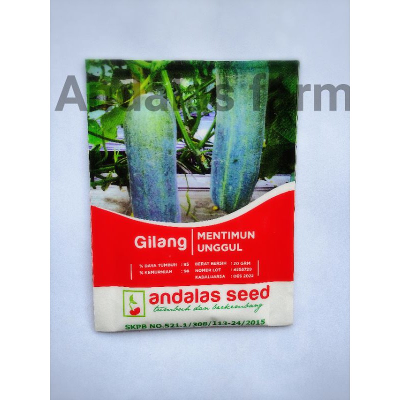 

GILANG (mentimun unggul)