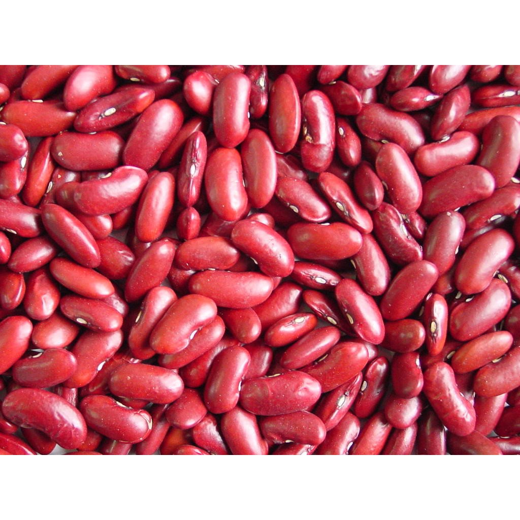 

Kacang Merah Red Beans Segar 250 gram