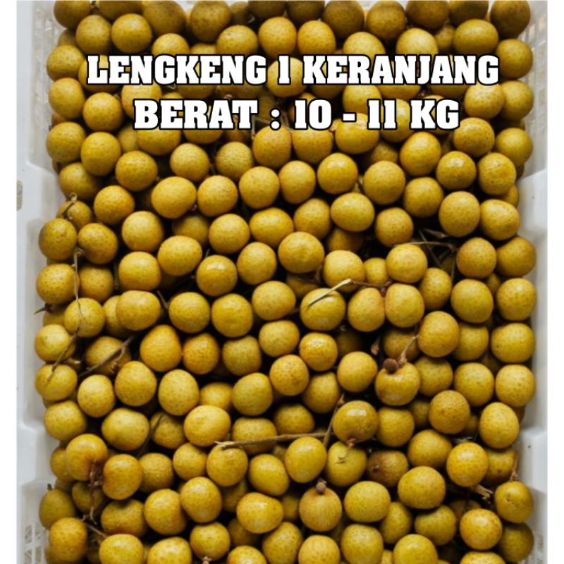 buah lengkeng 1 keranjang klengkeng bangkok GOLD 1 kranjang 11 KG fresh