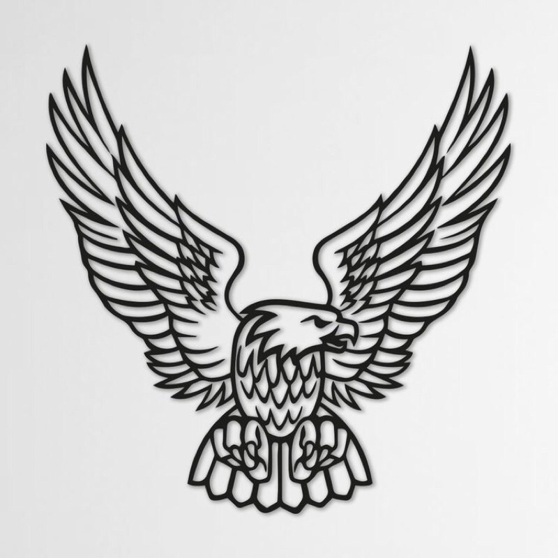 450 Gambar Burung Elang Gratis Terbaru