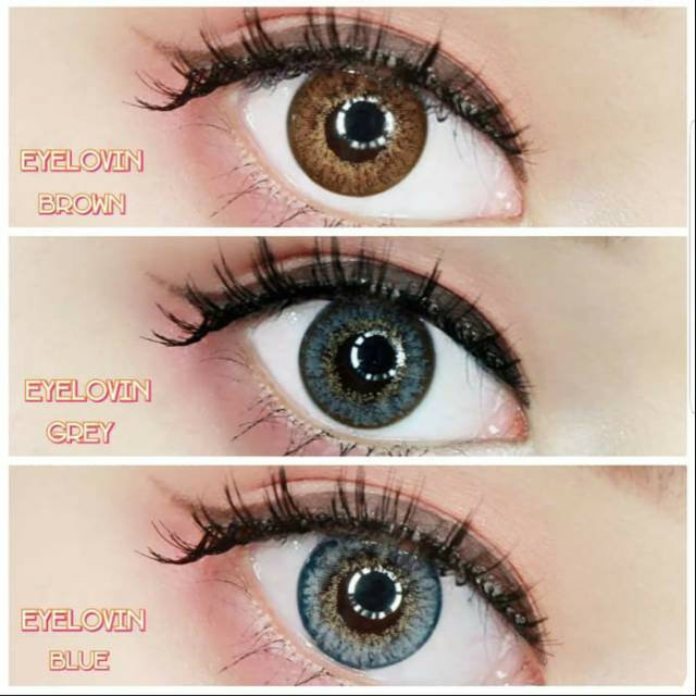 Hysoftlens softlens eyelovin by urban factory