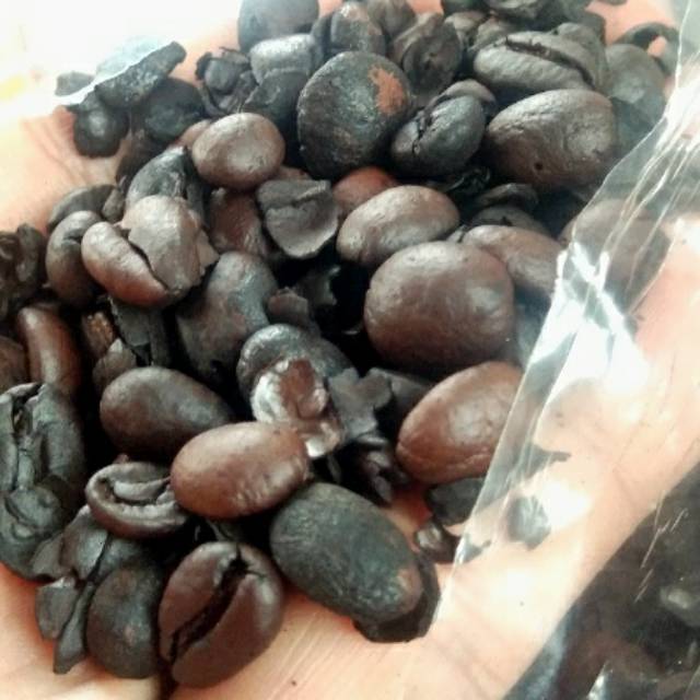 

Kopi Bolot