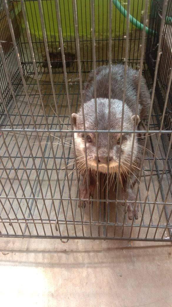 Dt0344 Promo Mainan Anak Miniatur Pesawat Terbang Garuda Indonesia Batik Air Pull Back Wjs231