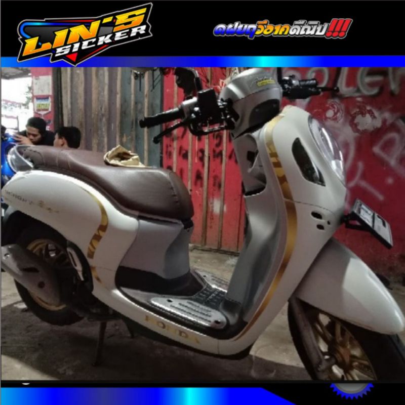 STRIPING SCOOPY 2021 TRANSPARAN GOLD CUSTOM