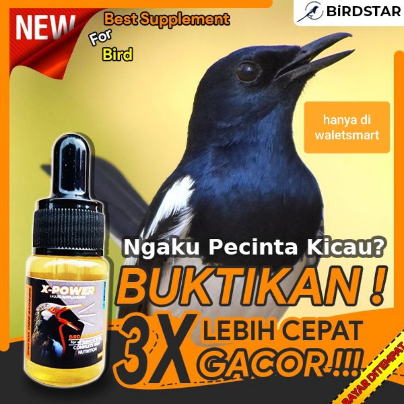 X-POWER Vitamin Formula khusus bikin Burung Kicau 3x lebih cepat GACOR Sehat & Aktif