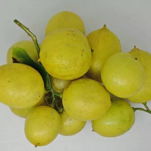 

Buah Lemon lokal segar