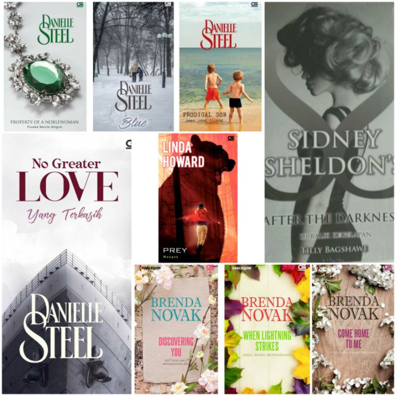 OriNovel Danielle Steel Prodigal Son Blue Sidney Sheldon's After The Darkness Sandra Brown Smash Cut