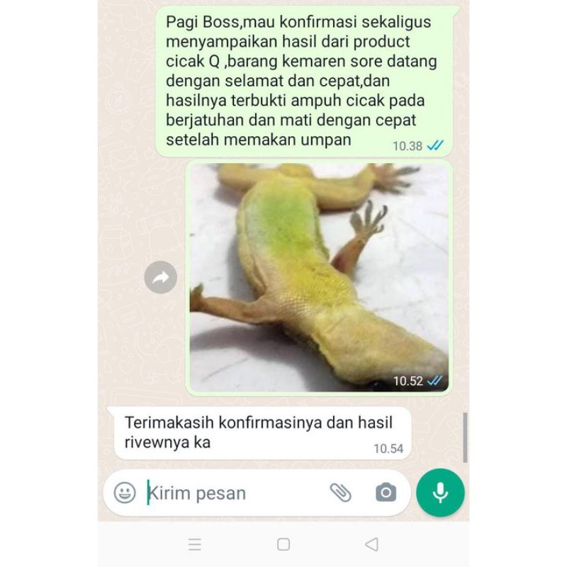 PEMBASMI CICAK AMPUH 15 GRAM