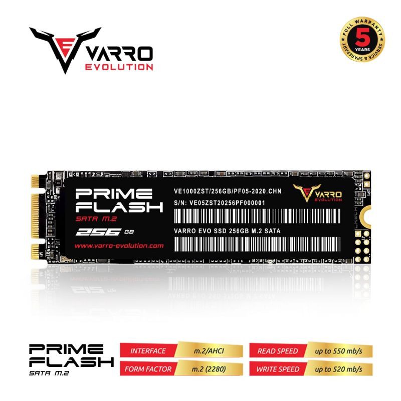 SSD M. 2 256GB VARRO