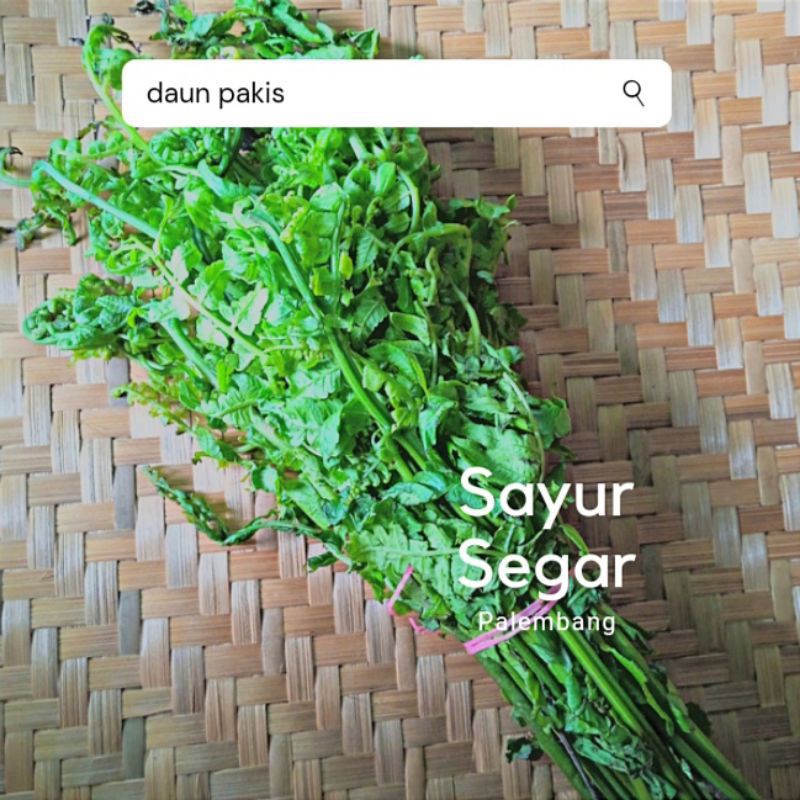 

Daun Pakis Per Ikat Sayur Segar Palembang