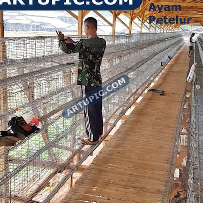 Kandang Ayam Petelur Galvanis Kawat Layer Artupic