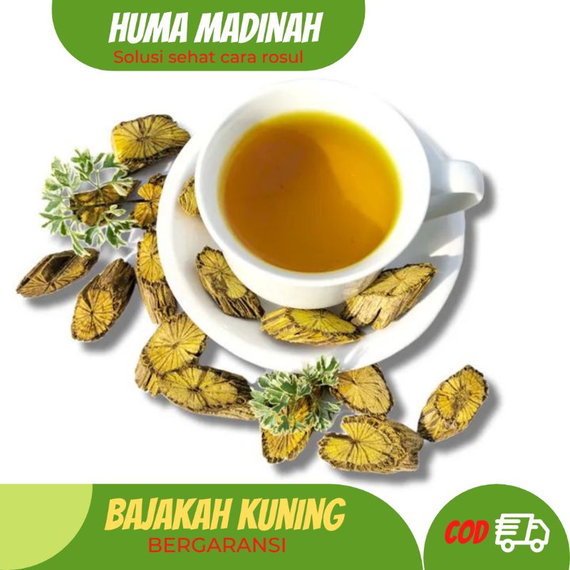 

Herbal Tradisional Akar Bajakah Kuning khas Kalimantan Paling Ampuh Untuk Maag Liver Diabetes