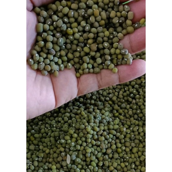 

✔️Murah lebay..Kacang hijau 250 gr