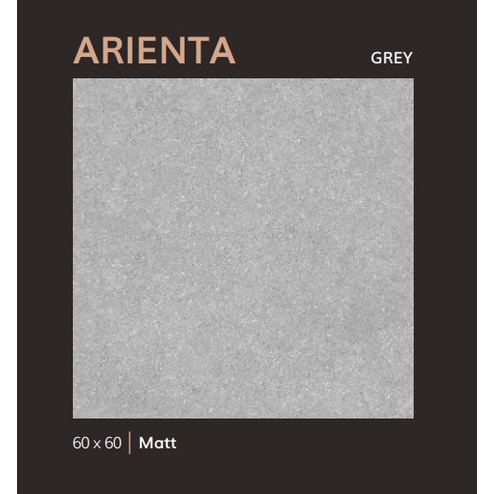 GRANIT ARNA ARIENTA GREY 60X60 CM EXP