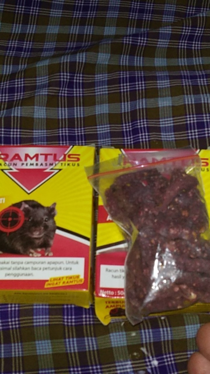 Ramtus Racun Tikus Got Curut Paling Ampuh Pembasmi Tikus Dirumah Racun Tikus Di Mesin Mobil 2 Pack