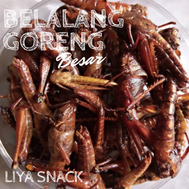 

Belalang Goreng Besar Toples Kecil