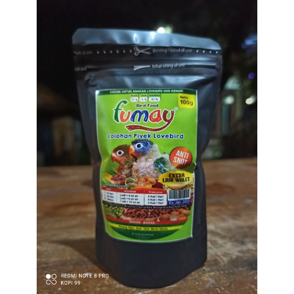 Bubur Terbaik Bubur lolohan lovebird anakan lovebird dan kenari