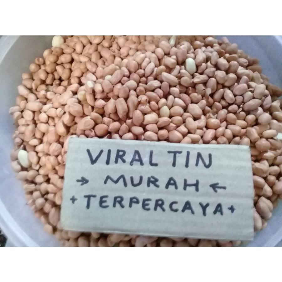 

kacang tanah tanpa kulit per 100 gr